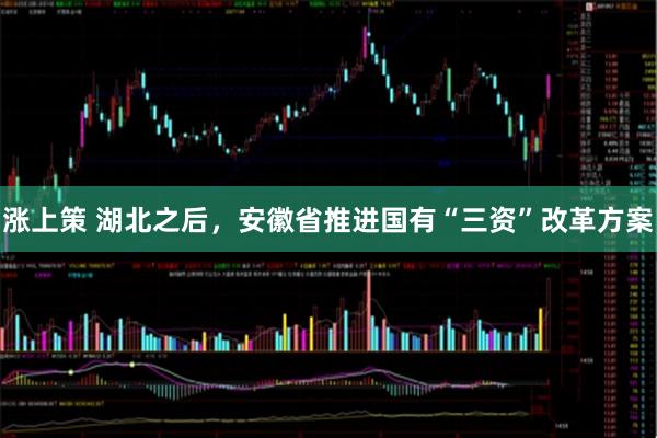 涨上策 湖北之后，安徽省推进国有“三资”改革方案