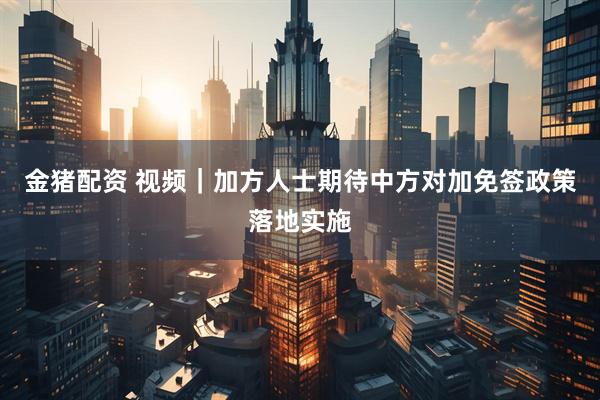 金猪配资 视频｜加方人士期待中方对加免签政策落地实施